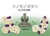 【新刊】シノモノガタリ—四つの死の物語—【短編集】【横長】