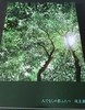 【伝奇】人でなしの影ふたつ