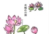 【ハイファンタジー】花触れの国