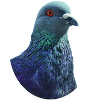 【グッズ】【ノンフィクション】鳩のアクリルキーホルダーB