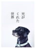 光がくれた世界
