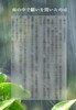 【ハイファンタジー】雨の中で願いを聞いたのは(無料配布)