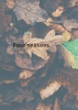 Four seasons