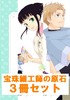 【ハイファンタジー】宝珠細工師の原石シリーズセット