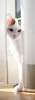 【詩歌】【その他】しおり_へちま(猫)ちらり(写真のみ)